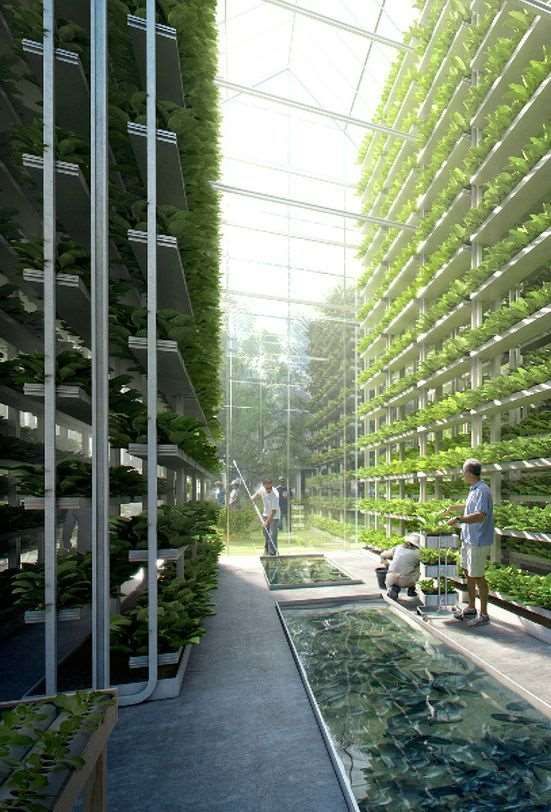 Dikey Tarım - Gelecek Teknolojileri